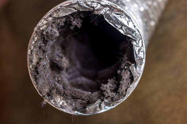 Best Best Air Duct Cleaning Company  in Wheaton, MD